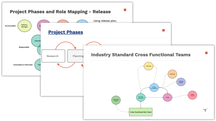 Screenshots of slides displaying process, project, and role maps