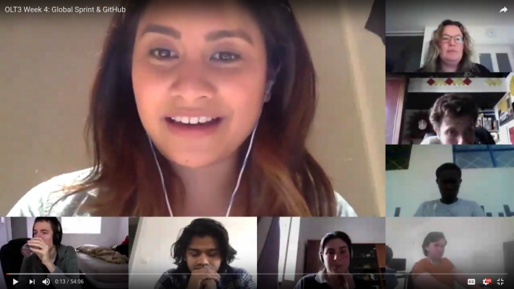 A usual video chat with the whole OLTS cohort